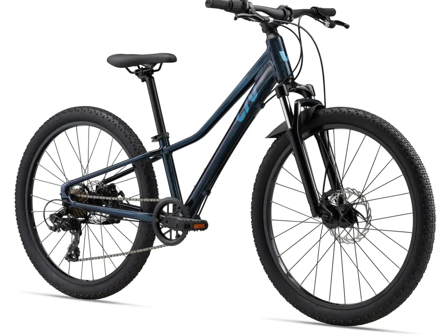 Tempt 24" Disc