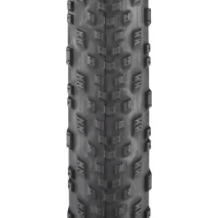 Teravail Rutland Tire - 29 x 2.2 Durable