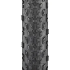 Teravail Rutland Tire - 29 x 2.2 Light and Supple