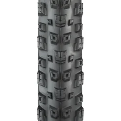 Teravail Warwick Tire - 29 x 2.3 Light Supple Fast Compound