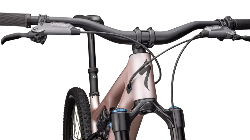 Turbo Levo SL 2 Expert (2025)