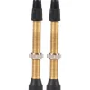 WTB Brass TCS Valve: 46mm