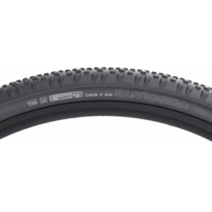 WTB Resolute Bike Tire - 650 x 42